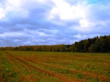 осень_октябрь_по