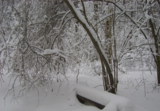зима,_лес,_парк_з�