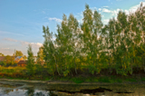 пейзаж,_осень,_пр