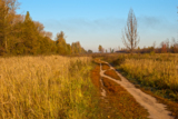 осень;_ковыль;_же