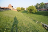 поляна,_сад,_дере