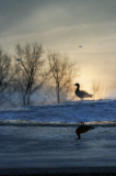 городской_пейза