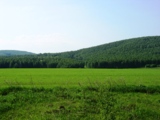 поле,_русское,_зе