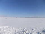 поле,_снег,_снежн