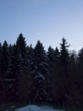 месяц_луна_лес_з�