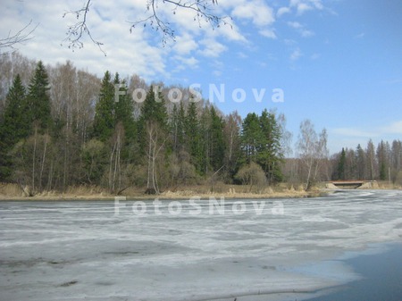 весна_апрель_лес