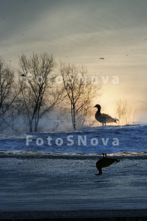 городской_пейза