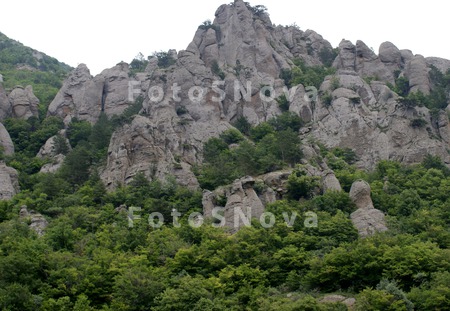 урочище,_заповед