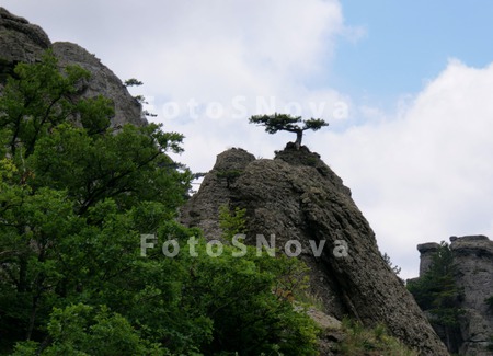 горы,_скала,_ланд