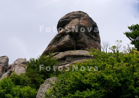 урочище,_заповед
