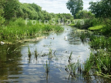 село,_деревня,_пр