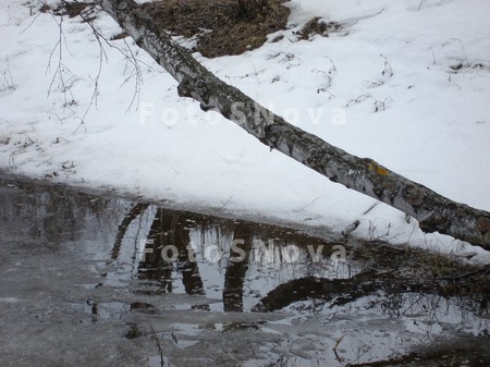 весна,_лужа,_снег