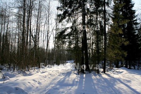 Коми,_Север,_весн