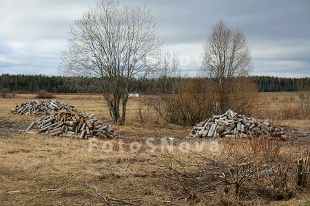 Коми,_Север,_весн