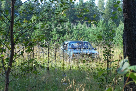 автомобиль,_лес,_