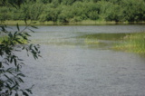 Река_Чепца,_камы