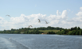 Река_Волга_вода_�