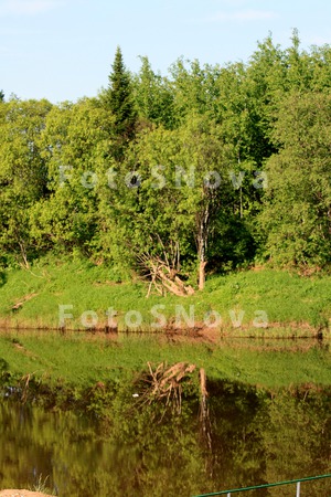 река,_вода,_бере