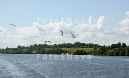 Река_Волга_вода_