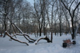 Зима,_парк,_город