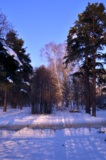 зима_парк_деревь