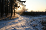 зима,_пейзаж,_сел