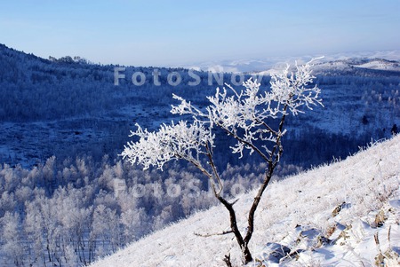 забайкалье,_снег