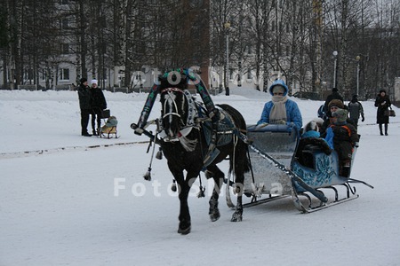 Новый_год,_каник