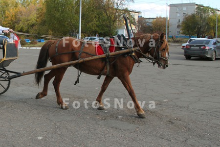 Свадьба,_праздни