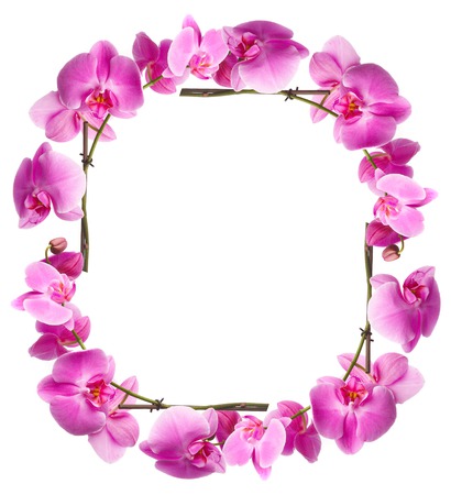 flowers_frames_backgrounds_spr