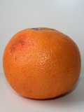 Апельсин,_цитрус