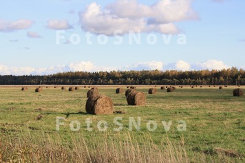 Поле,_урожай_убр�