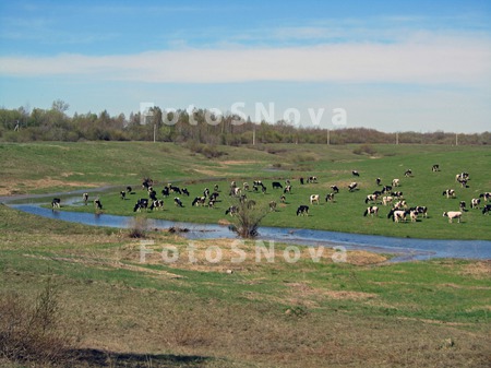 Деревня,_село,_до