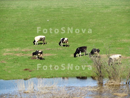 Деревня,_село,_до