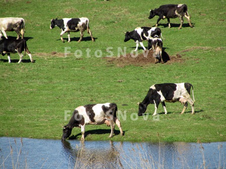 Деревня,_село,_до