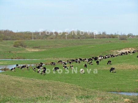 Деревня,_село,_до