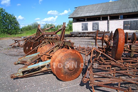 сельский_сельск