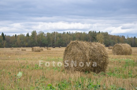 село,_деревня,_се