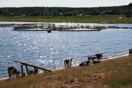 Водохранилище,_ф