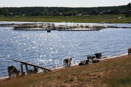 Водохранилище,_ф