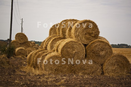 лето,_жатва,_руло