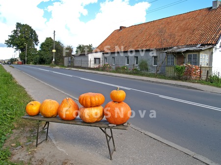 придорожная,_ули