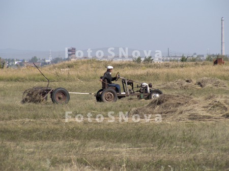 покос,_уборка,_се