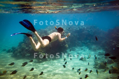 child_holiday_underwater_boy_c