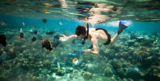 child_holiday_underwater_boy_c