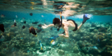 child_holiday_underwater_boy_c