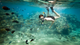 child_holiday_underwater_boy_c