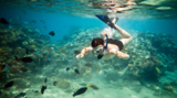 underwater_boy_coral_diving_pe