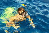 child_boy_underwater_tube_mask