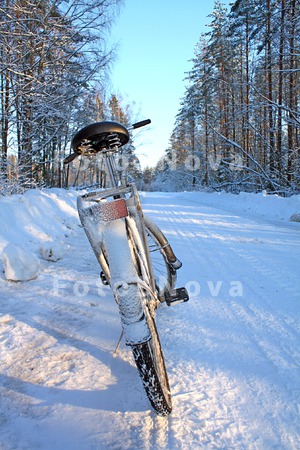 транспорт_велос